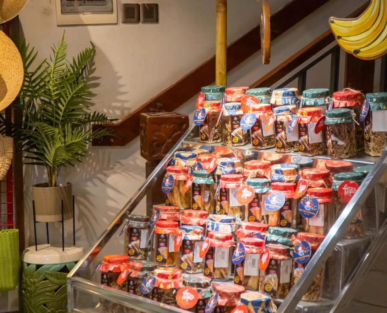 Seahorse Han Market Da Nang Apartment By Haviland